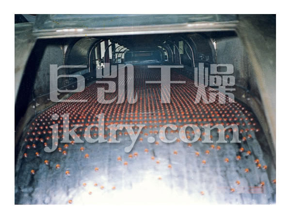 RL系列熔融造粒机