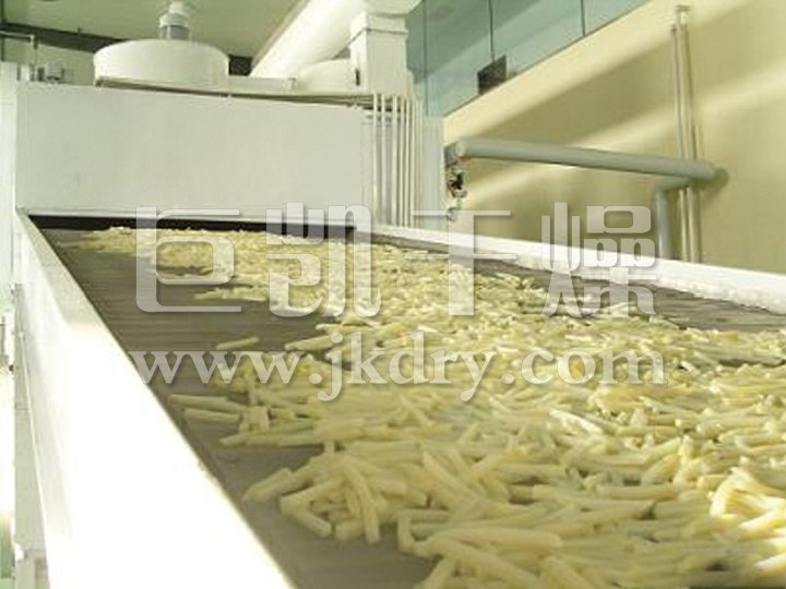 DWC系列脱水蔬菜带式干燥机